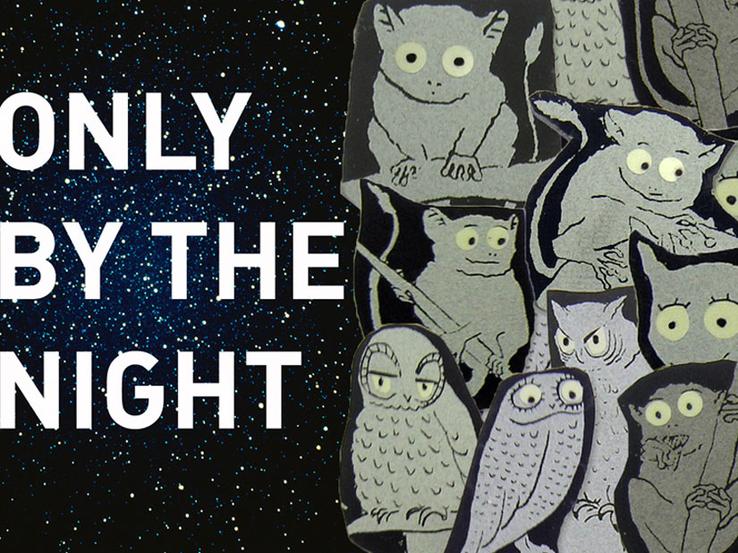 ONLY BY THE NIGHT – Nachttiermagnete. Augen leuchten im Dunkeln. Siebdruck.Hier bestellen!
